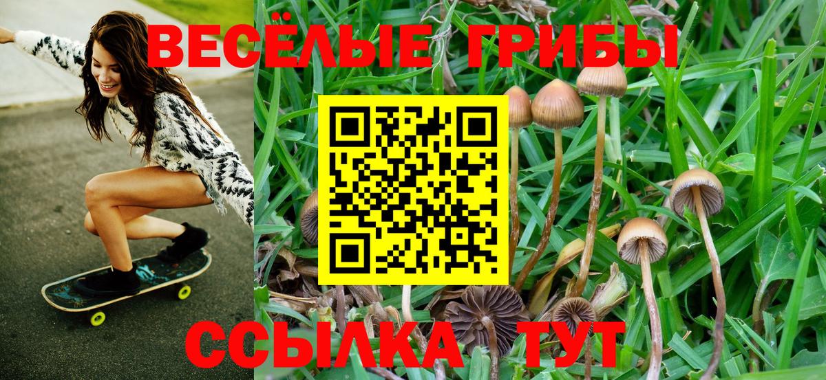 Кумертау  Галлюциногенные грибы Psilocybine cubensis  Вход с VPN 